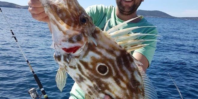 fishing in ibiza 2019