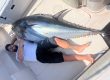 pesca brumeo