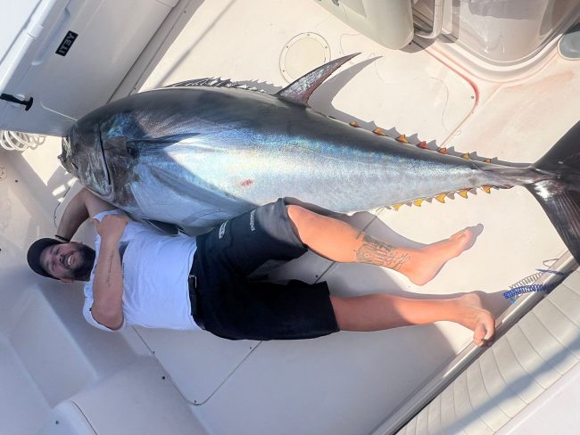 pesca_brumeo pesca brumeo
