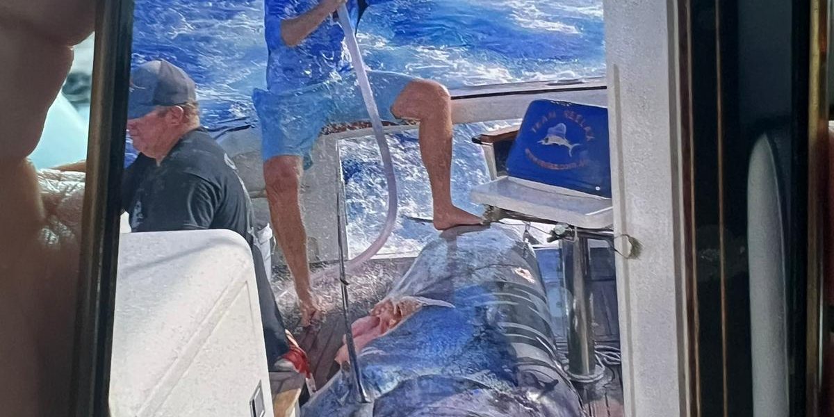 WhatsApp Image 2026-01-14 at 15.54.16 pesca marlin negro
