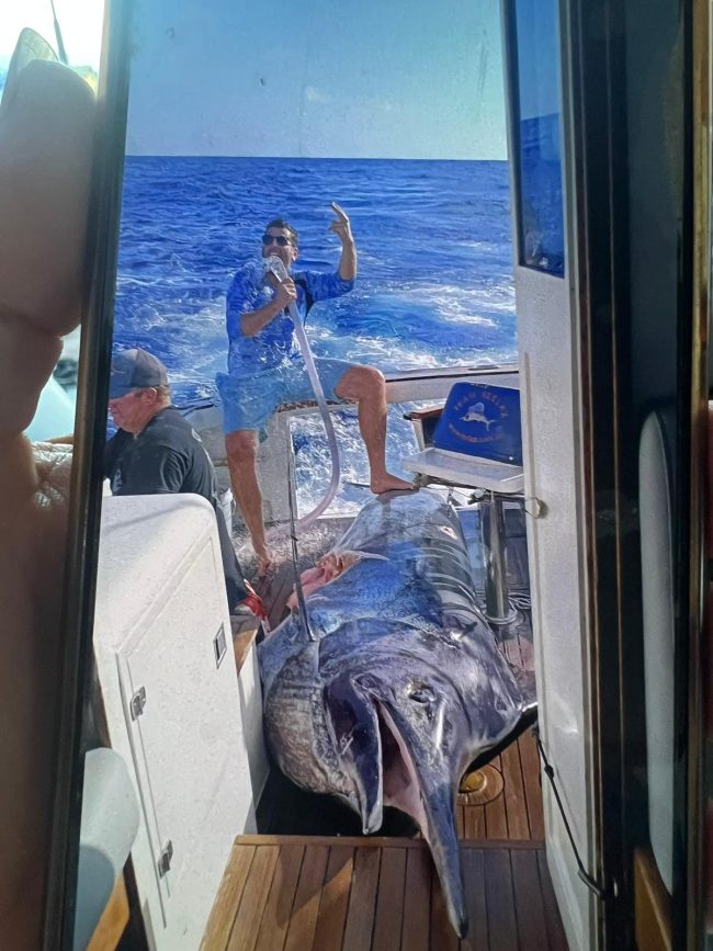 WhatsApp Image 2026-01-14 at 15.54.16 pesca marlin negro