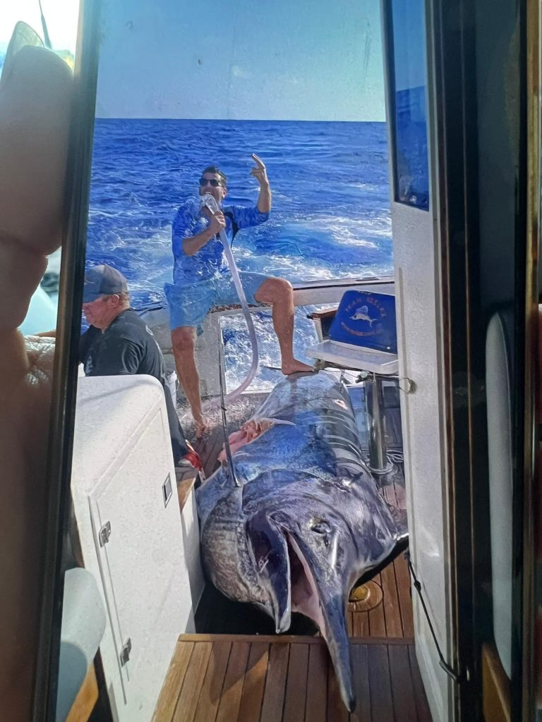 pesca marlin negro